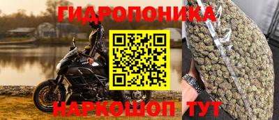 бошки Краснознаменск