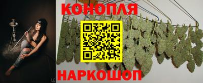 ПСИЛОЦИБИНОВЫЕ ГРИБЫ Краснодар