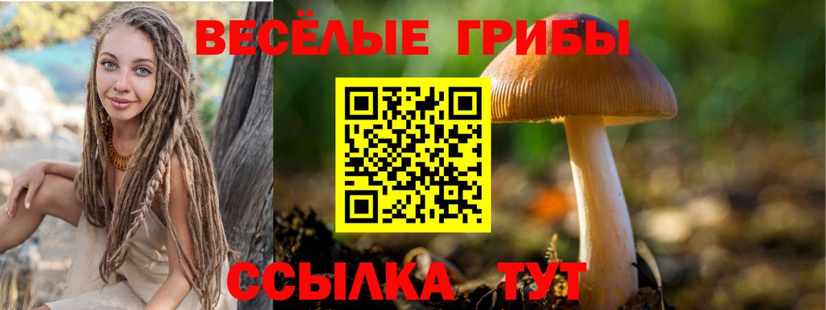 Нижнеудинск  Галлюциногенные грибы Psilocybe  Вход с VPN 